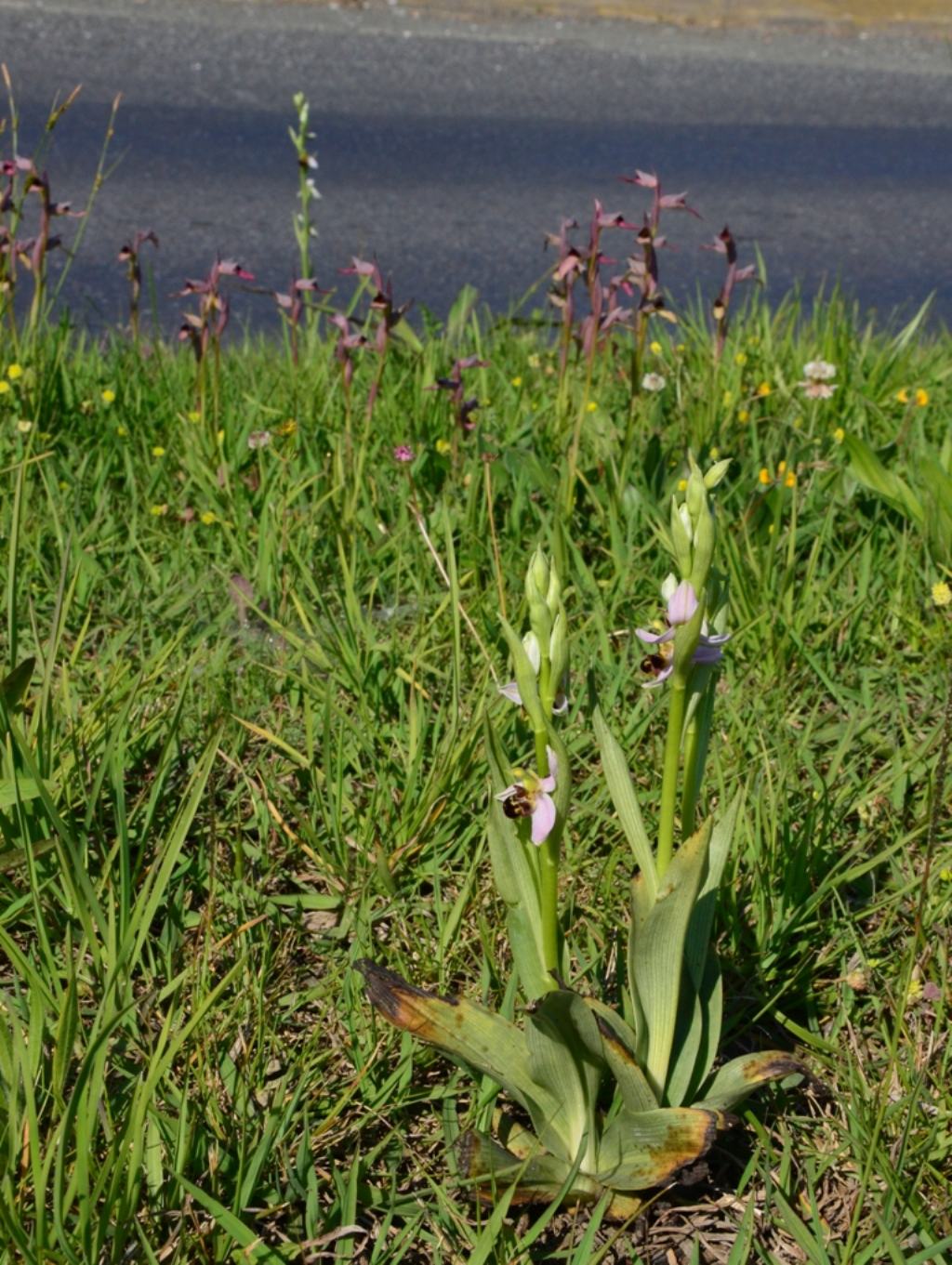... near the road...